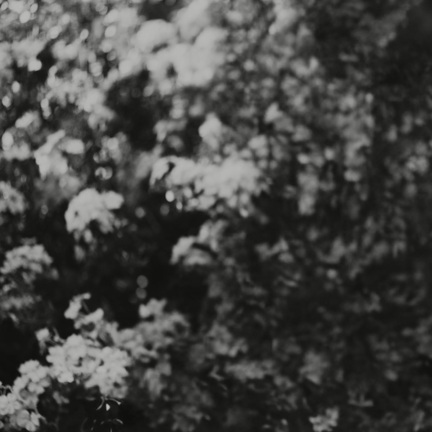 Signed CD - Hanging By A Thread EP [Limited 50]